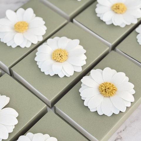 MatchBox con margherita in 3d 2