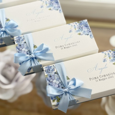 Box Blu di Ortensia 2