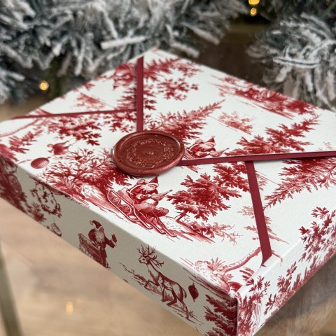 Lettera Di Natale con Cremini - N18 2