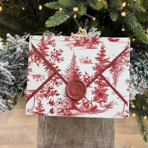 Lettera Di Natale con Cremini - N18