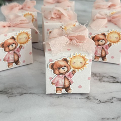 nascita orsetto box 2